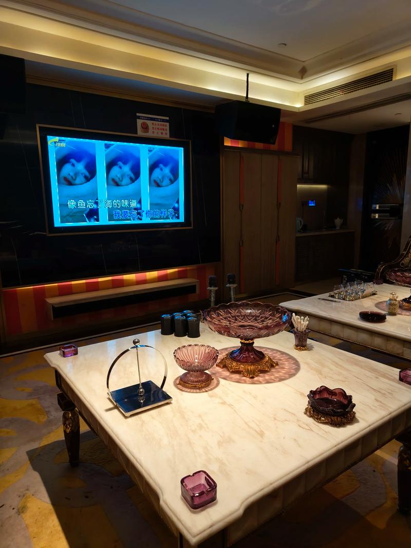 安阳商务ktv优选商务ktv预订便捷-安阳县ktv预订